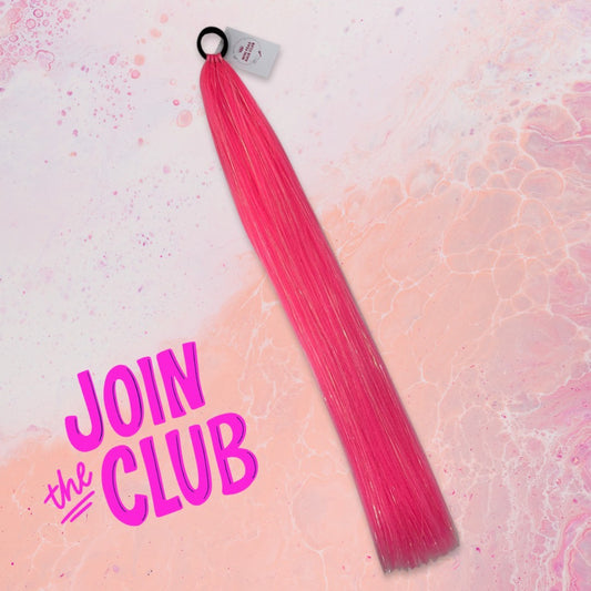 Long Barbie style Tie-In Ponytail - 24"